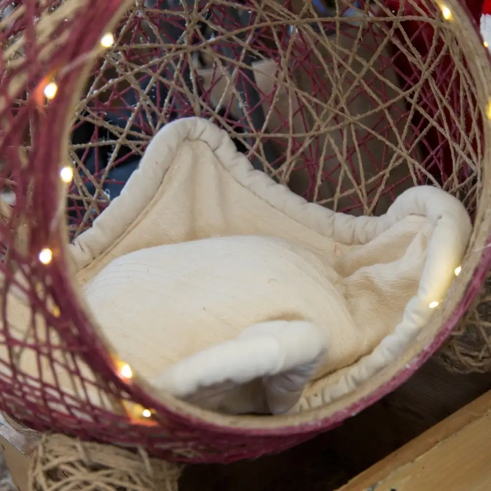 stand solidaire marché noël vonnas ain