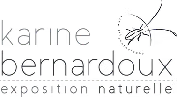 mention au grand air les ptites mimines