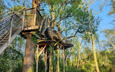 On a testé (et sélectionné) 5 nuits insolites autour de Lyon à vivre en 2026