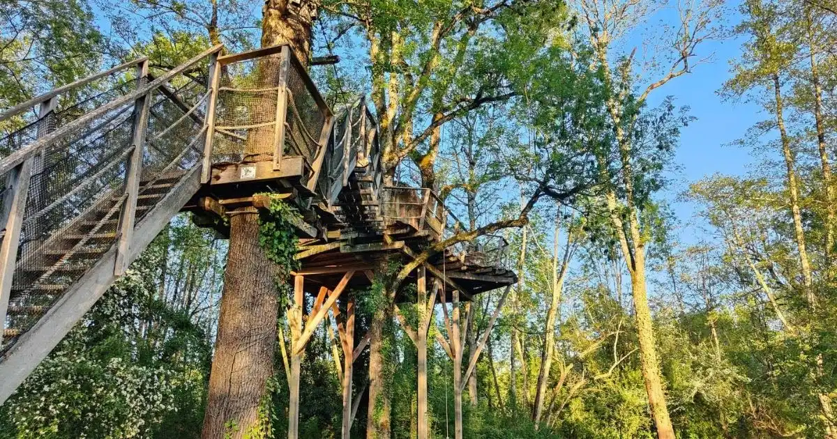 cabane dans les arbres pour nuit insolite proche lyon