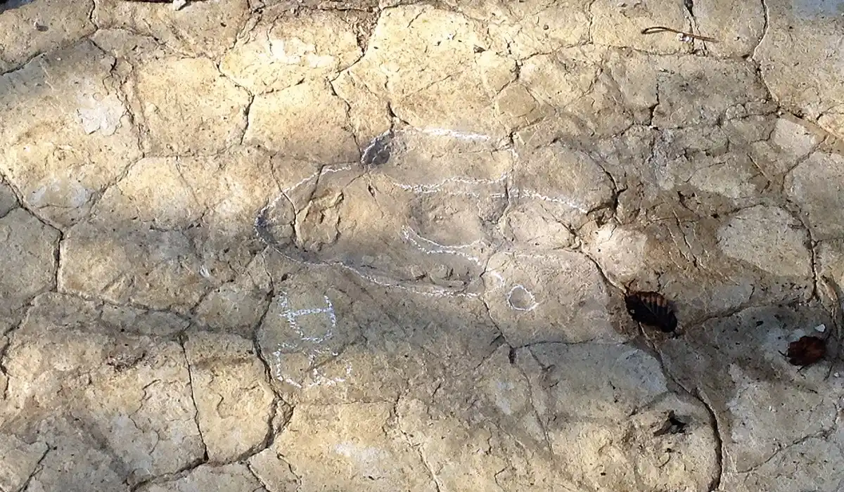 dinoplagne près de bourg-en-bresse