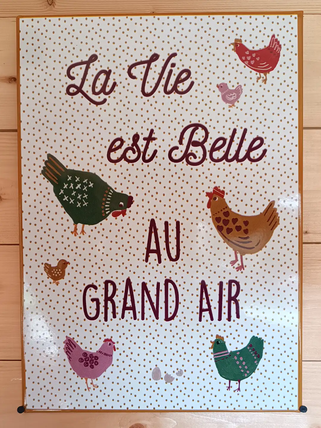 affiche la vie est belle au grand air