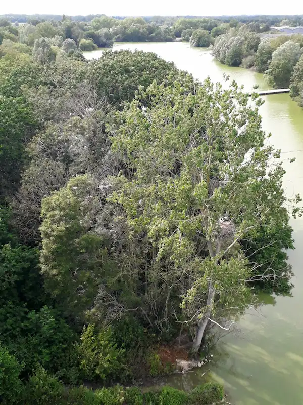 vue depuis la tour panoramique du Parc des oiseaux de Villars-les-Dombes